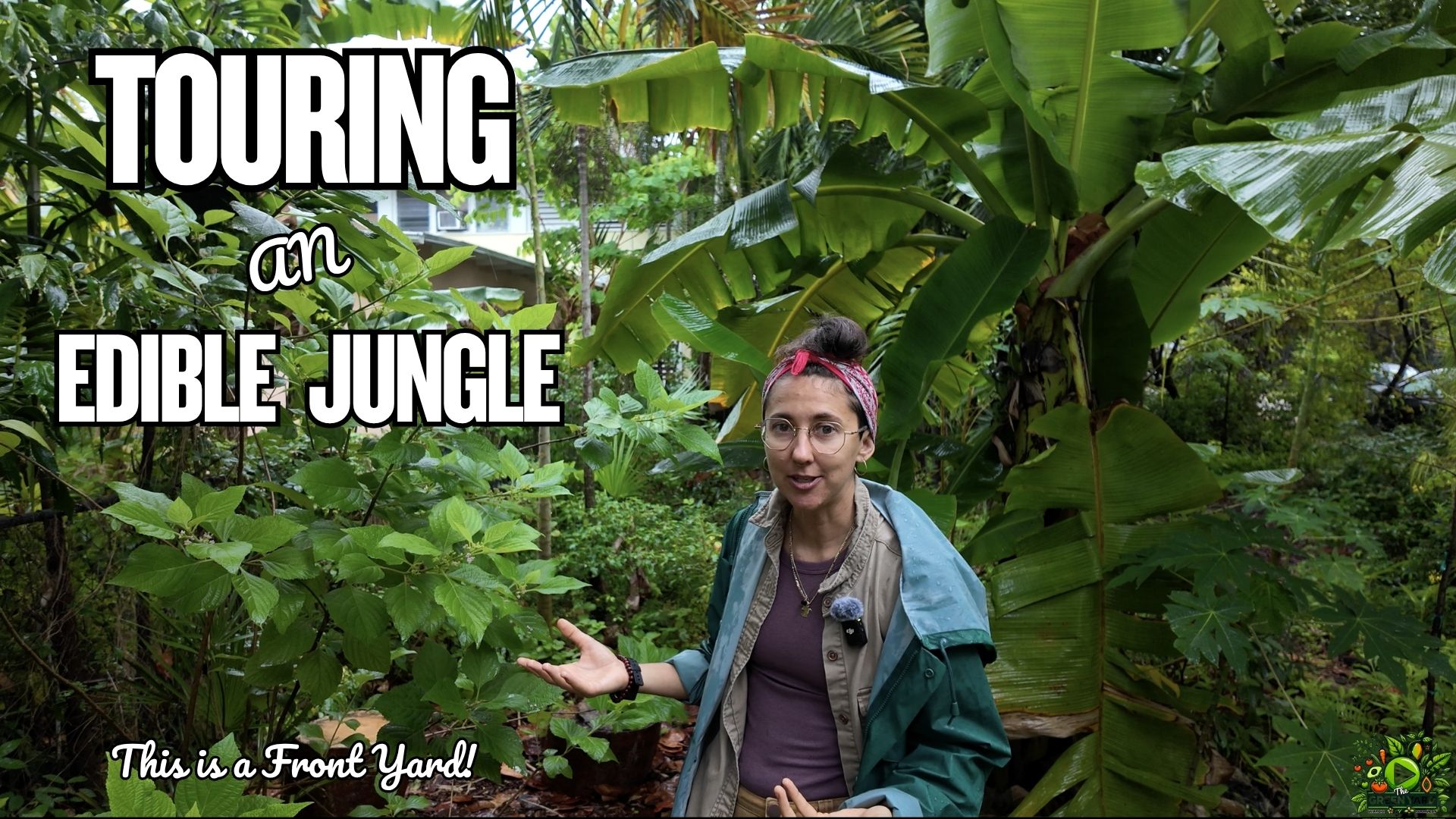Finca Morada’s native and edible front yard food forest in North Miami, Florida